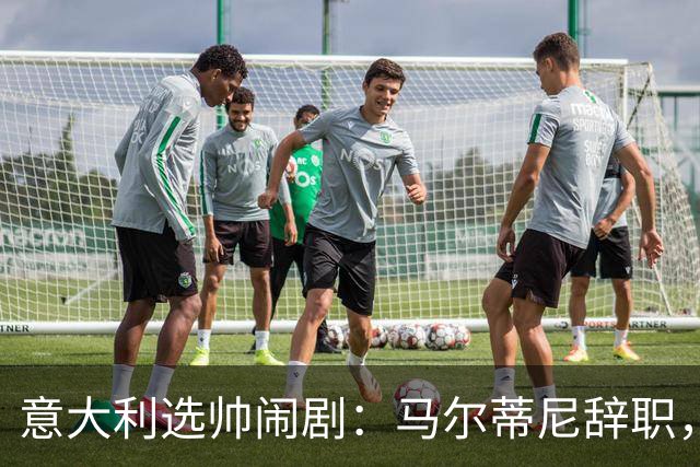 意大利选帅闹剧：马尔蒂尼辞职，曼奇尼接任